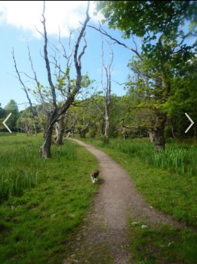 Whithorn Happydays Caravan 1 Newton Stewart מראה חיצוני תמונה